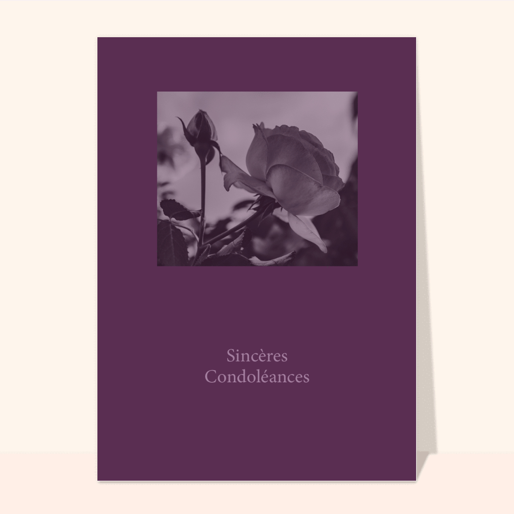 Carte Condoléances Fleurs Sincères Condoléances Violet Merci Facteur