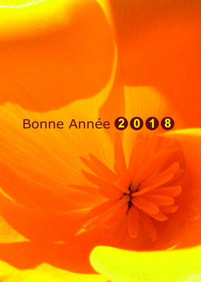 Merci-Facteur : Nouvelle carte de voeux 2011: Bonne année avec des