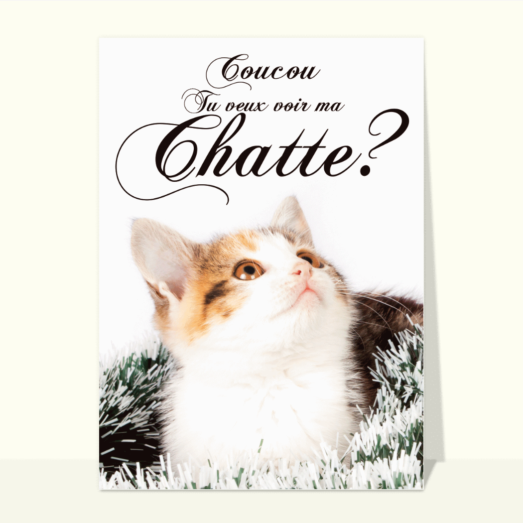 Carte Tu Veux Voir Ma Chatte Envoyer Une Vraie Carte Saint Valentin Humour Des 0 99 Merci Facteur