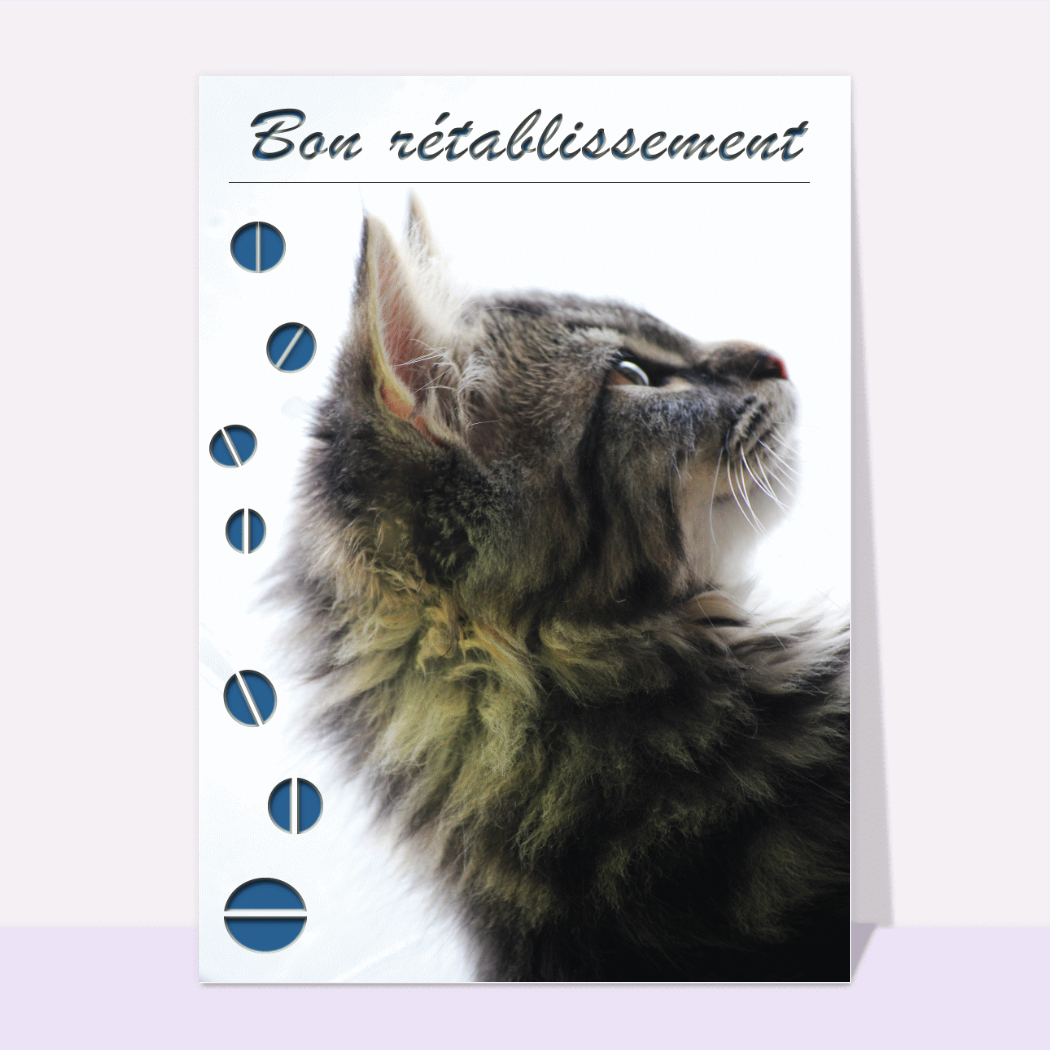 Carte Bon Retablissement Avec Un Petit Chat Envoyer Une Vraie Carte Bon Retablissement Des 0 99 Merci Facteur