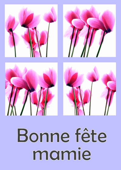 Carte Fete Des Grand Meres Avec Orchidees Envoyer Une Carte Fete Des Grand Meres Des 0 99 Merci Facteur