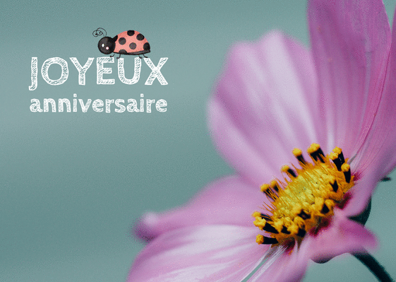 Carte Joyeux Anniversaire Joie Sante Et Amour Envoyer Une Carte Anniversaire Fleurs Des 0 99 Merci Facteur