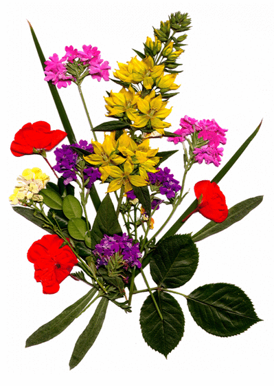 Carte Bouquet De Toutes Couleurs Envoyer Une Vraie Carte Fete Des Meres Avec Des Fleurs Des 0 99 Merci Facteur