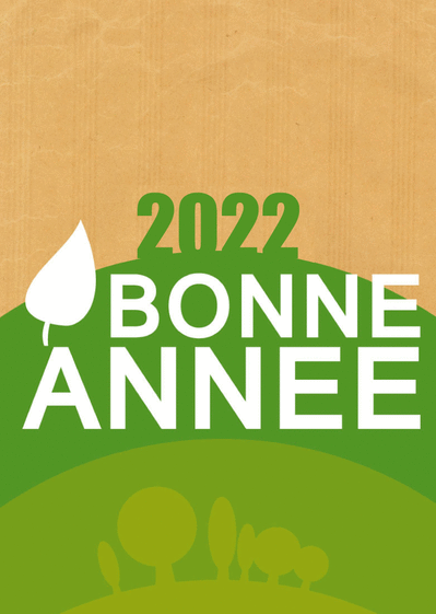 Carte Une Bonne Annee 21 Verte Envoyer Une Carte De Voeux Nature 21 Des 0 99 Merci Facteur