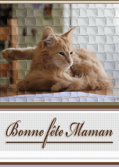 Carte Bonne Fete Maman Avec Nu Chat Roux Envoyer Une Carte Fete Des Meres Avec Des Animaux Des 0 99 Merci Facteur