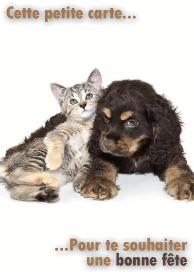 Carte La Petite Chien Et Chat Envoyer Une Vraie Carte Fete Des Meres Avec Des Animaux Des 0 99 Merci Facteur