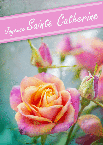 Carte Rose Rose Pour La Sainte Catherine Envoyer Une Vraie Carte Sainte Catherine Des 0 99 Merci Facteur