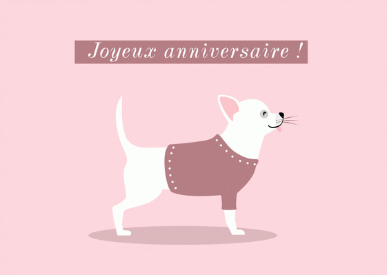 Carte Joyeux Anniversaire Chihuahua Blanc Envoyer Une Carte Anniversaire Animaux Des 0 99 Merci Facteur