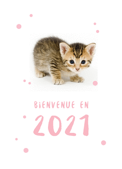 Envoyez Une Jolie Carte De Voeux 22 Chat Mignon Des 0 99 Envoi Rapide Avec Merci Facteur