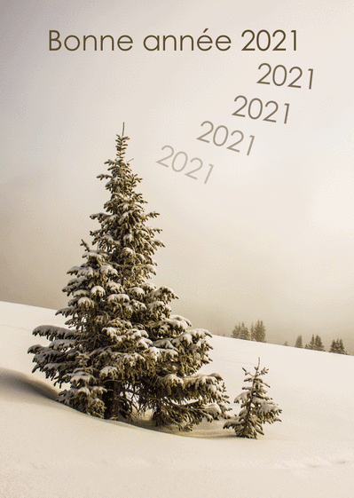 Carte Sapin Enneige Pour La Bonne Annee 21 Envoyer Une Carte De Voeux Nature 21 Des 0 99 Merci Facteur