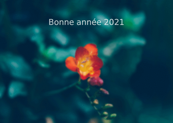 Carte Hibiscus De La Bonne Année 2021 : Envoyer une Carte 