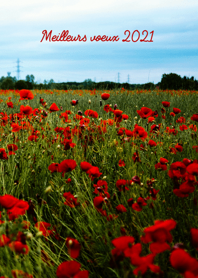 Carte Meilleurs Voeux 21 Et Coquelicots Envoyer Une Carte De Voeux 21 Avec Des Fleurs Des 0 99 Merci Facteur