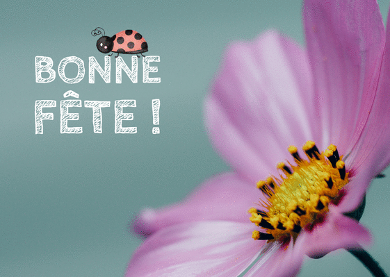 Carte Bonne Fete Petite Coccinelle Envoyer Une Vraie Carte Bonne Fete Avec Des Fleurs Des 0 99 Merci Facteur