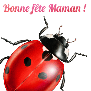 Carte Bonne Fete Maman Et Coccinelle Envoyer Une Vraie Carte Fete Des Meres Des 0 99 Merci Facteur