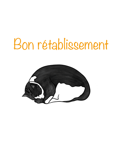 Carte Bon Retablissement Et Chat Endormi Envoyer Une Vraie Carte Bon Retablissement Des 0 99 Merci Facteur