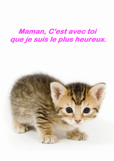 Carte Fete Des Meres Chaton Envoyer Une Vraie Carte Fete Des Meres Avec Des Animaux Des 0 99 Merci Facteur